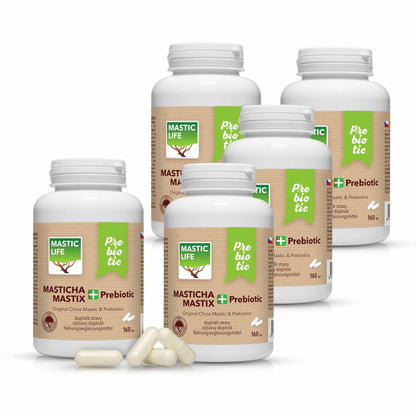 Mastic+ Prebiotic Economy Long-Term Mastic Therapy (800 capsules) Masticlife