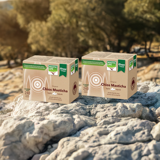 Mastic Strong&Pure Economy Double Pack (480 capsules) Masticlife